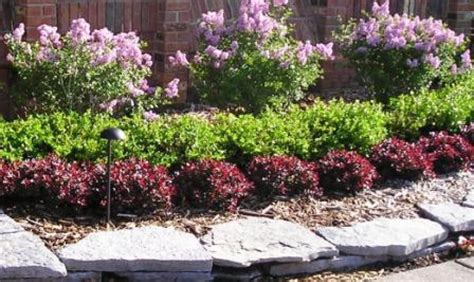 Image result for low growing shrubs for front of house | Front yard landscaping, Colorful ...