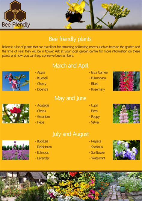 Bee Friendly- Bee Conservation Campaign :: Behance