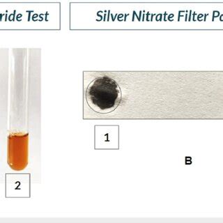 Positive ferric chloride test and silver nitrate filter paper test. A:... | Download Scientific ...