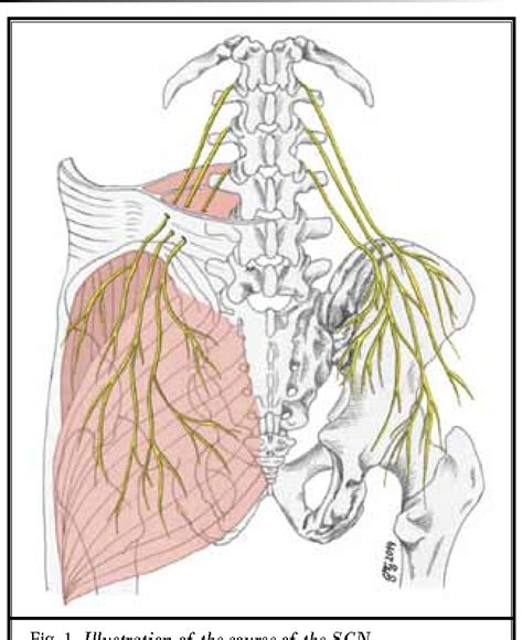 Figure 1 from Successful Identification and Assessment of the Superior ...