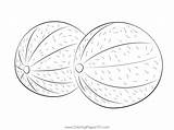 Two Whole Cantaloupe Melons Coloring Page  And melon sketch template