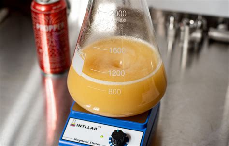 How To Make A Yeast Starter For Beer