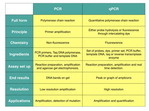 Cu Les Son Las Diferencias Entre Pcr Rt Pcr Qpcr Y Rt Qpcr Sinomed | The Best Porn Website