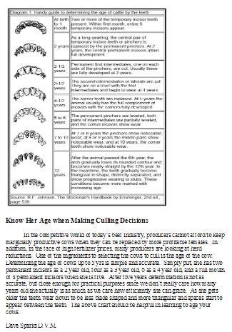 Cow Teeth Diagram