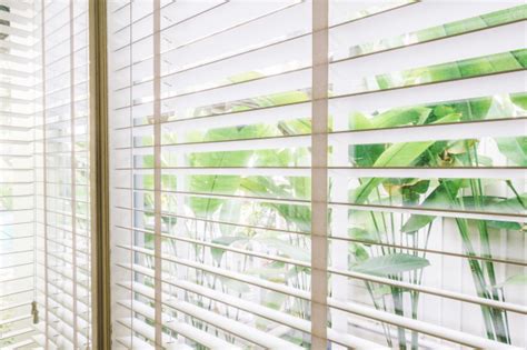 Why Install Roller Blinds In Your Home? - Pena Ngusa