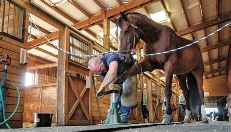 American Farriers Journal Captures 6 Awards