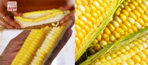 How to remove corn kernels in 1 minute - Something's Cooking with Alpa