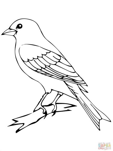 Printable Bird Outline