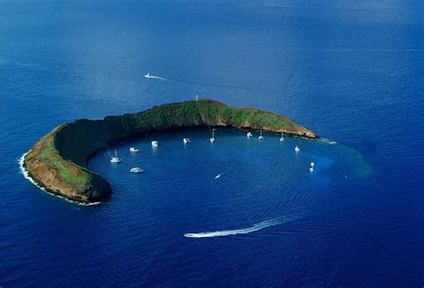 Molokini Snorkeling Tour & Catamaran Sail (5 hours, $180)