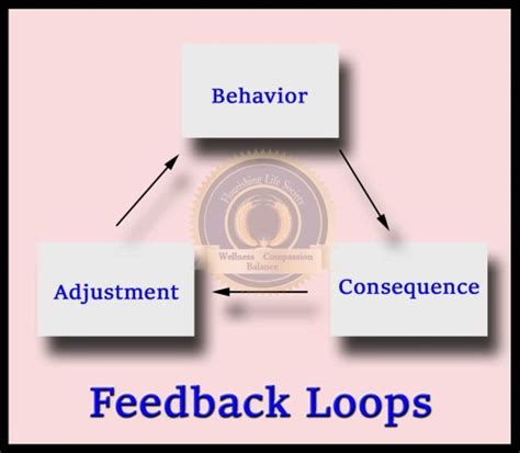 Feedback Loops - Psychology Fanatic