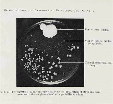 Alexander Fleming biography - Science Hall of Fame - National Library ...