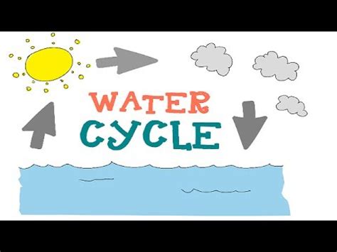 Water Cycle : The 3 phases Explained : Water Cycle Animation for Kids ...