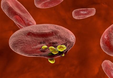 Smart design could prevent drug resistance in new malaria treatments ...