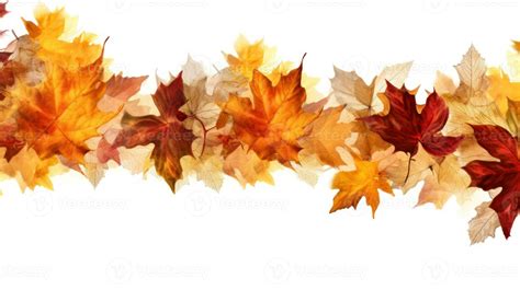 Autumn leaves border isolated. Illustration AI Generative 24688988 Stock Photo at Vecteezy