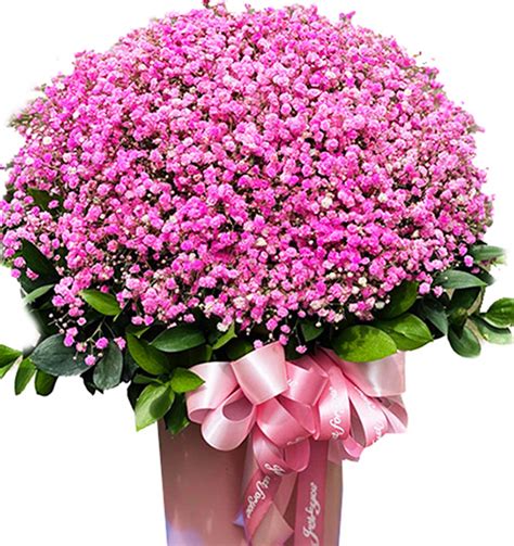 Tet Flowers 40, Vietnamese Lunar New Year Flowers