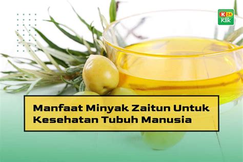 15 Manfaat Minyak Zaitun Untuk Kesehatan Tubuh Manusia