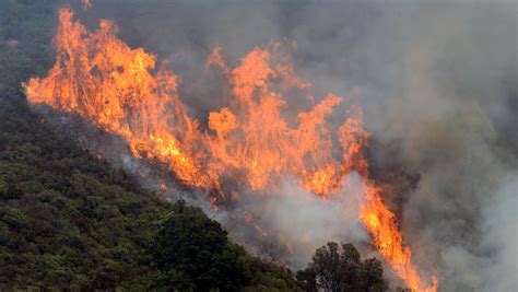 Wildfire near California’s Big Sur burns dozens of homes