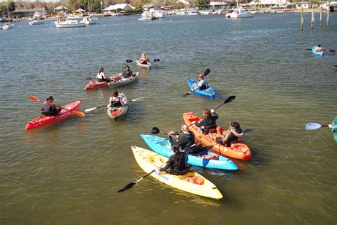 Crystal River Manatee Tours Snorkeling Swimming with Manatees