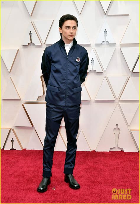 Timothee Chalamet Looks So Handsome at Oscars 2020: Photo 4433848 ...