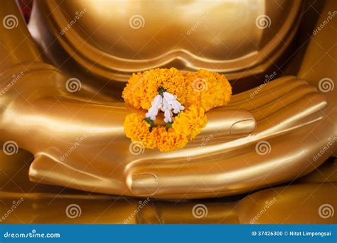 Flower in Hand Image of Buddha Stock Photo - Image of china, finger ...