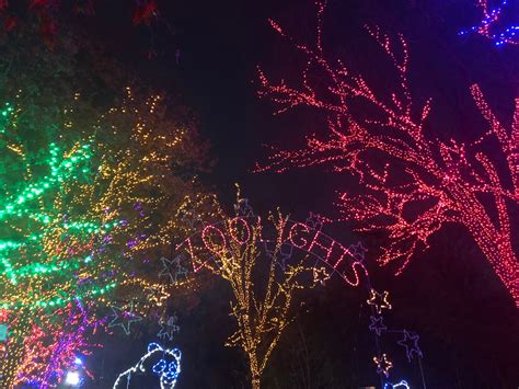 Marco Bossolo | Zoo Lights in Washington DC - Christmas 2018