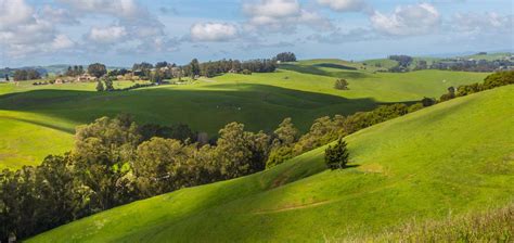 The Beauty of Petaluma: A Guide to the Best Things to Do and See