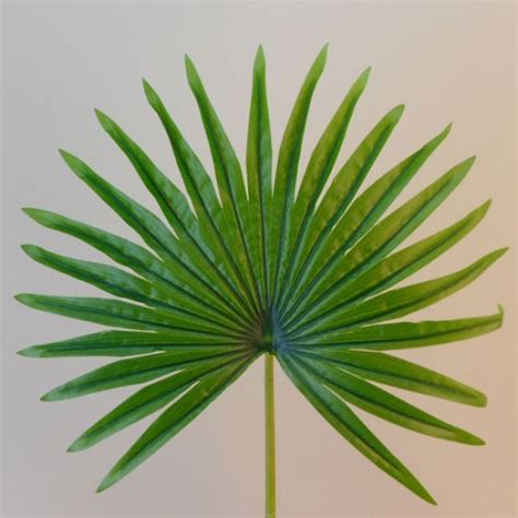 Artificial Fan Palm Leaf Real Touch | Artificial Leaves