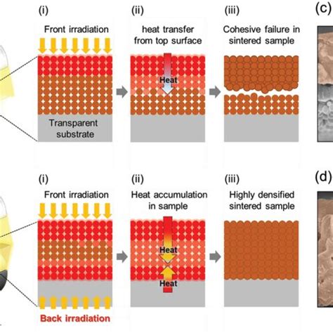 Schematic representation of a) C‐IPL an (b) B‐IPL sintering methods ...