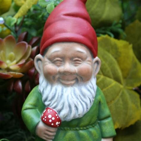 Rude Garden Gnomes - Etsy