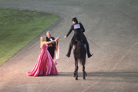 Tennessee Walking Horse National Celebration 2024 - Ebony Gweneth