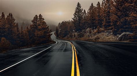 3840x2160 Road Between Woods 4K ,HD 4k Wallpapers,Images,Backgrounds,Photos and Pictures