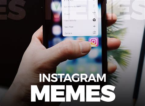 Discover the Best Instagram Memes - Live News Club