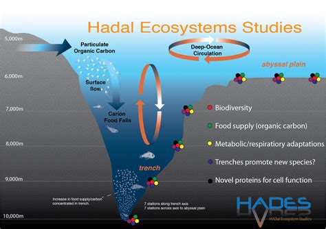 Science objectives - HADEX