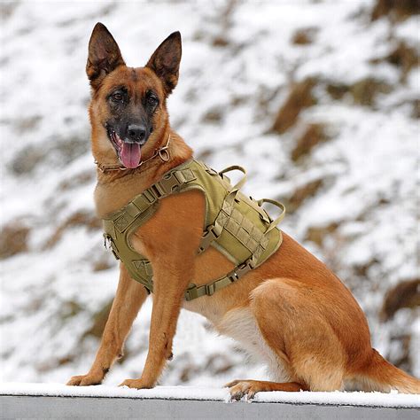Tactical Pet Dog Harness No Pull Military Training MOLLE Vest K9 Large Tan Black | eBay