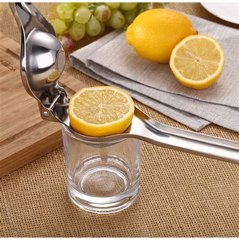 Stainless Steel Citrus Juicer - carlmarket.com