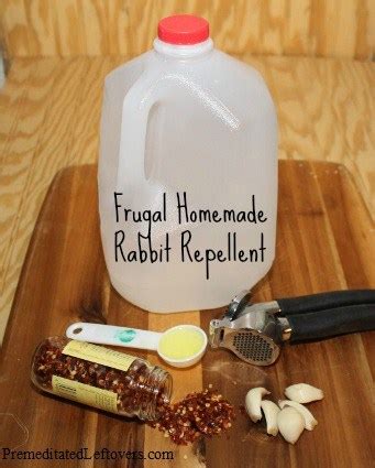 How to Make Rabbit Repellent - A Frugal & Organic Solution