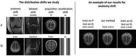 Test-Time Training Can Close the Natural Distribution Shift Performance Gap in Deep Learning ...