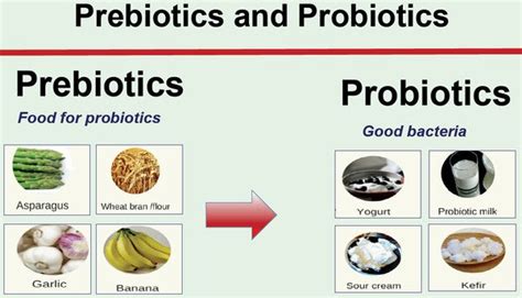 Probiotics vs. Prebiotics