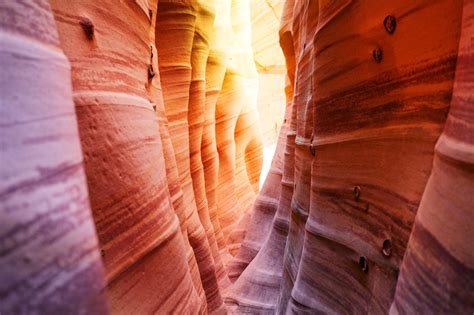 Secrets of the Grand Canyon | Grand Canyon Visitor Center IMAX