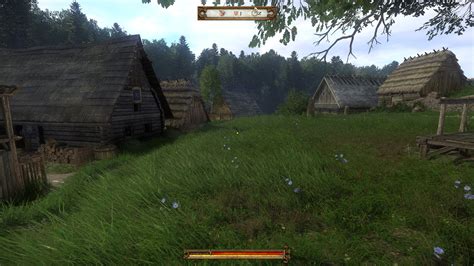 Kingdom Come: Deliverance - From the Ashes fotka