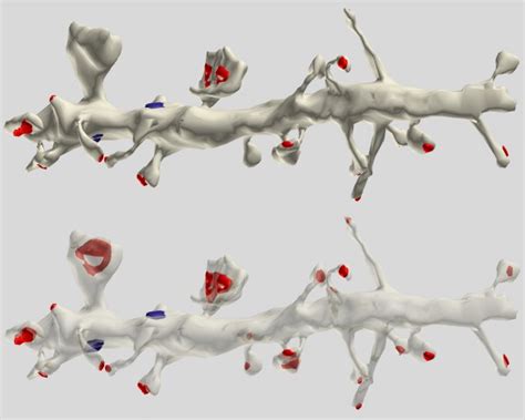 Vast Complexity of Dendrite Function