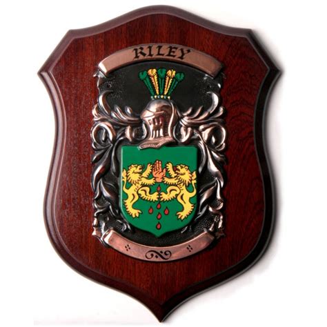 Handpainted Family Coat of Arms & Family Crest Shield (Large 9" x 13") - Family Histories