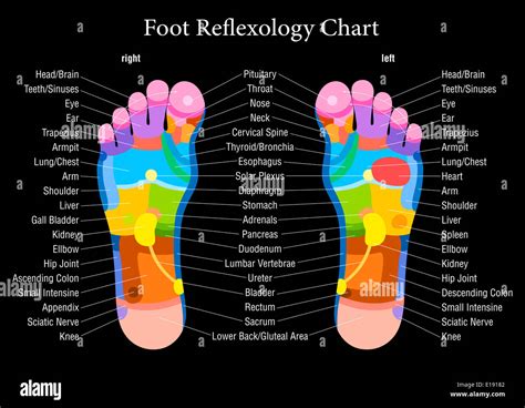 Foot reflexology chart with accurate description of the corresponding ...