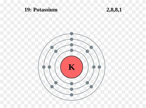 See The Electron Configuration Of Atoms Of The Elements - Potassium Electron Shell Diagram ...