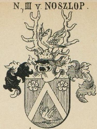 Nemeth Family Crest, Coat of Arms and Name History