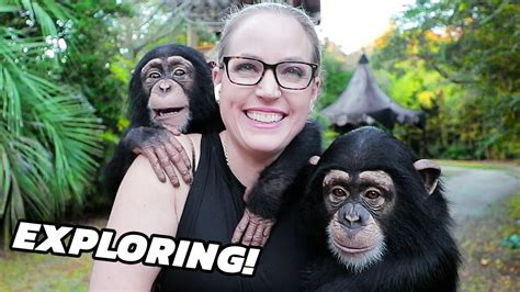 A DAY PLAYING WITH BABY CHIMPANZEES! - YouTube