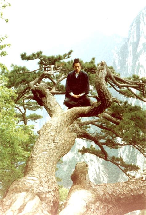 taoist meditating in tree by burning-effigy on deviantART | Taoist ...