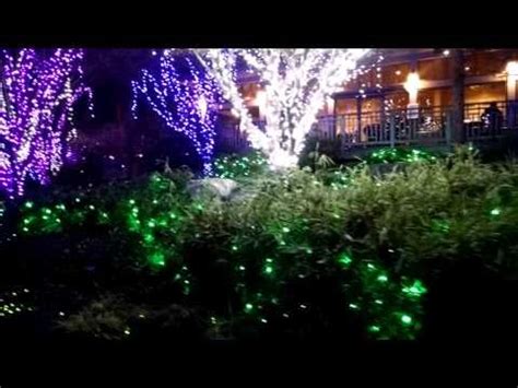 A virtual tour of Lewis Ginter Garden (Dominion Garden Fest of Lights) - YouTube | Lights ...