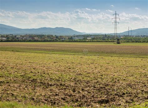 Farming land, crop field stock photo. Image of background - 98046488