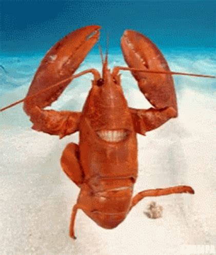 Lobster Yes GIF - Lobster Yes Happy - Discover & Share GIFs